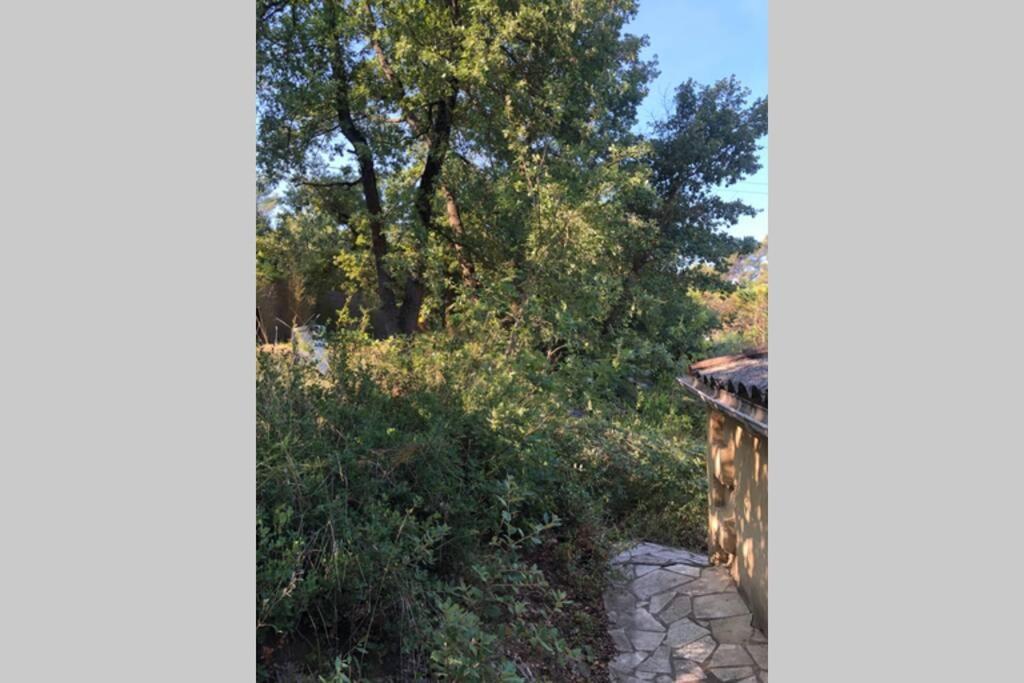 L'Escapade. Entre Aix Et Marseille, Studio Pleine Nature. Fuveau Екстериор снимка